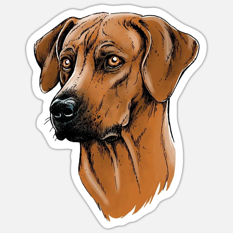 Rhodesian Ridgeback - Sticker taille S (10 x 10 cm) - blanc mat