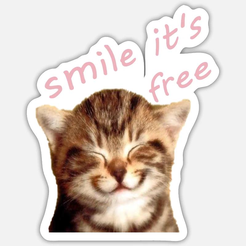 a kitten - Sticker size S (10 x 10 cm) - white matte