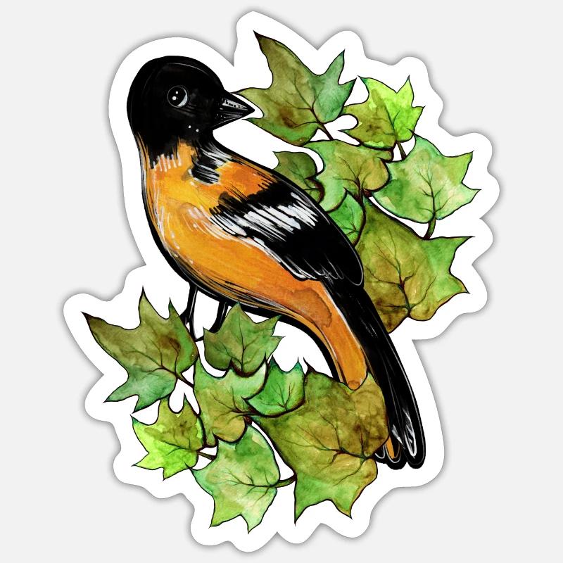 Baltimore oriole - Sticker size S (10 x 10 cm) - white matte