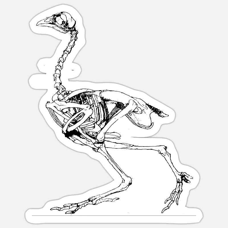 George Stubbs - Exposition anatomique comparative Sticker taille S (10 x 10 cm)