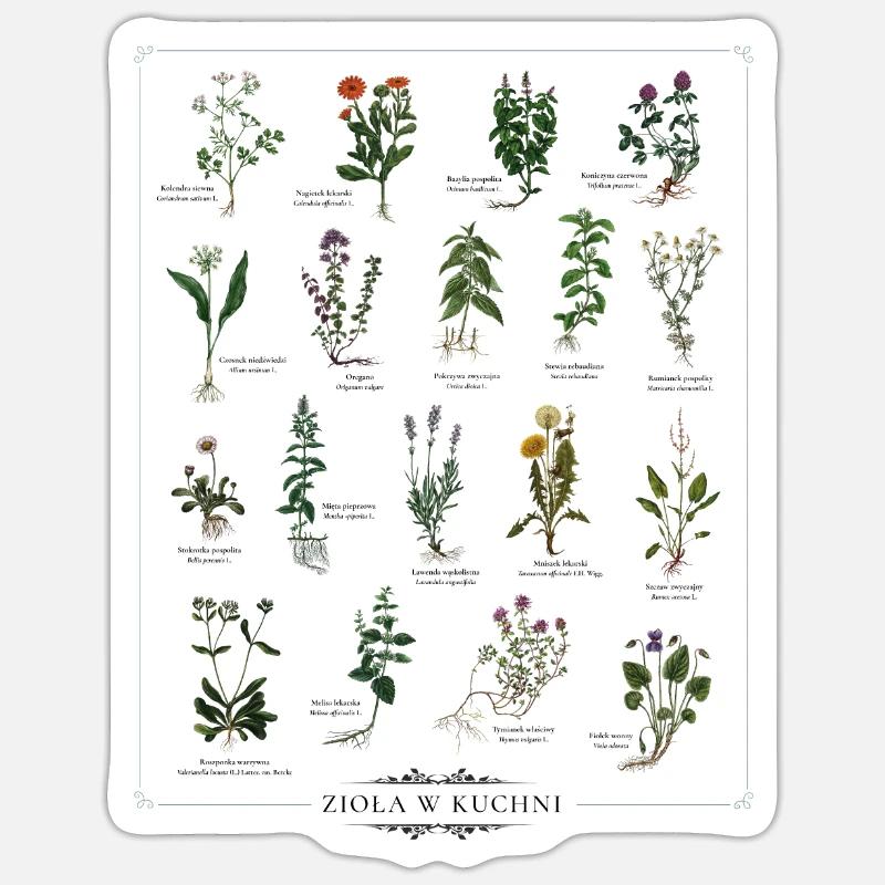 Bunte Küche Sticker Größe S (10 x 10 cm)