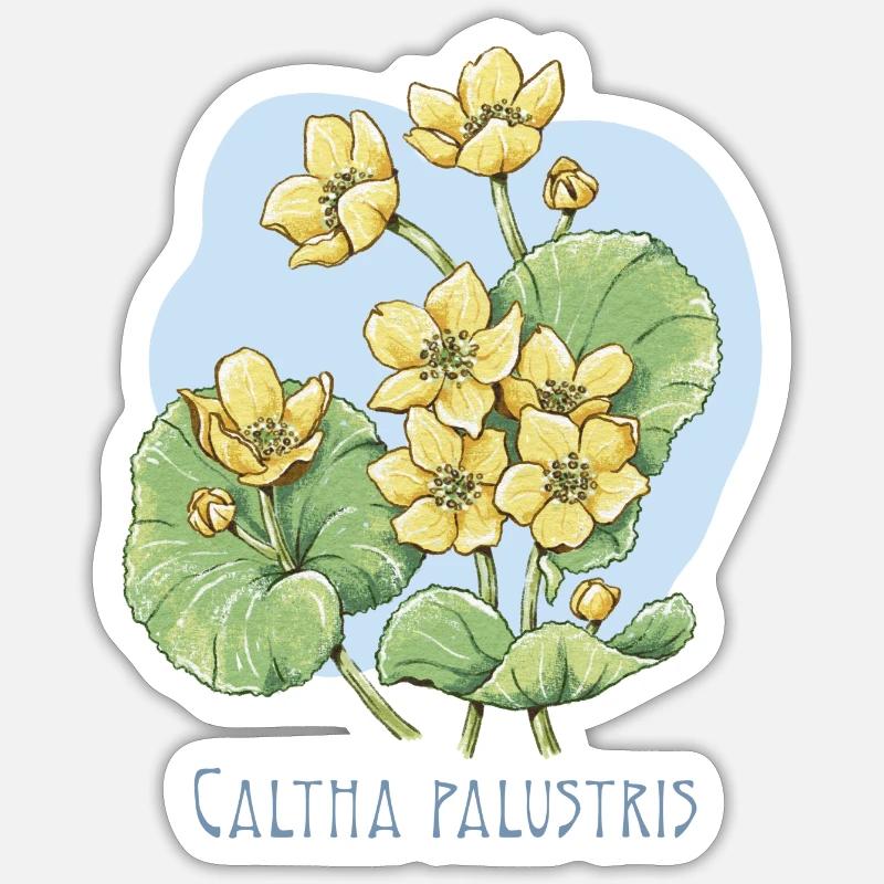Dessin botanique de canard - Sticker taille S (10 x 10 cm) - blanc mat