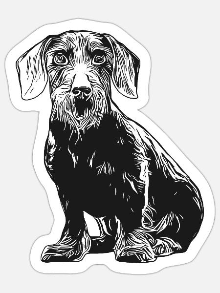 Rauhaardackel Dackel mit Rand Teckel - Sticker Größe S (10 x 10 cm) - Mattweiß