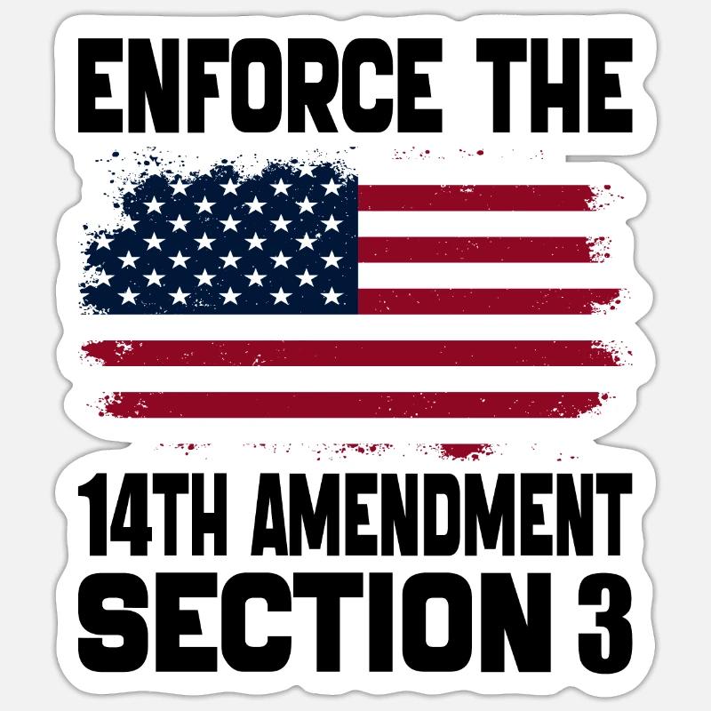Enforce The 14TH Amendment Section 3 Sticker size S (10 x 10 cm)