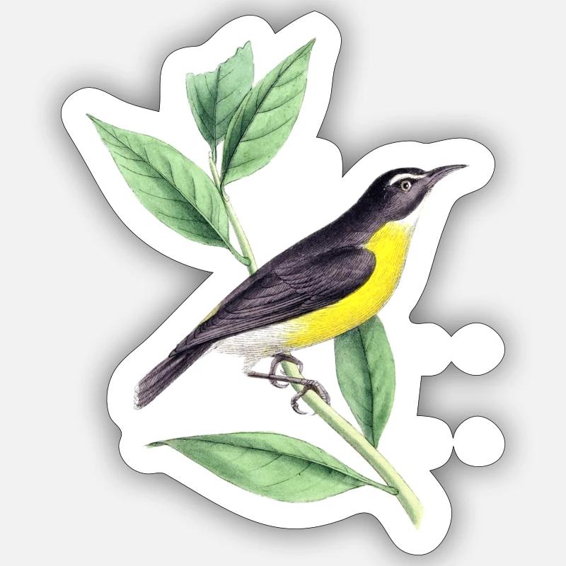 Bird Environment Sticker size S (10 x 10 cm)