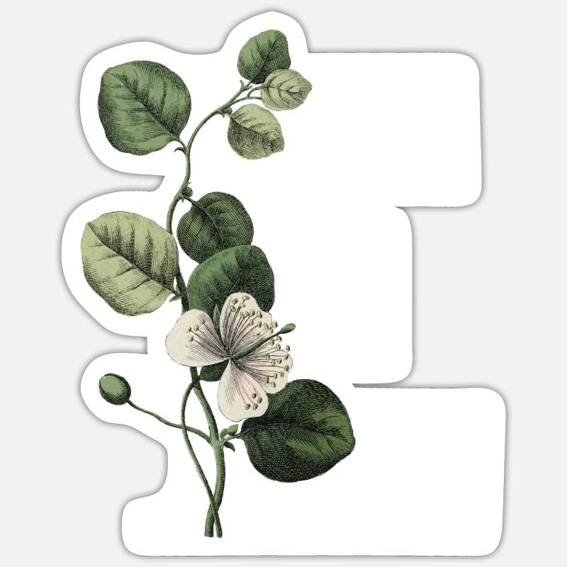 Grüner botanischer Buchstabe E - Sticker Größe S (10 x 10 cm) - Mattweiß