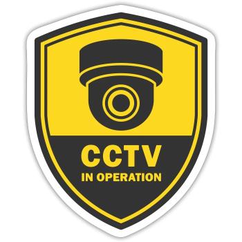 Security cameras in use symbol icon. Fixed CCTV - Sticker size S (10 x 10 cm) - white matte - Front