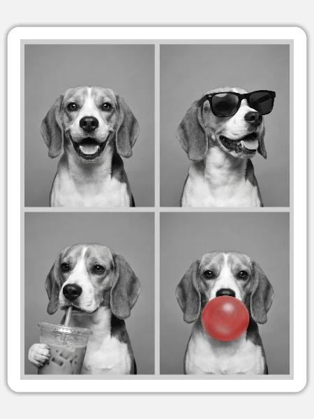 Hunde Beagle Hund - Sticker Größe S (10 x 10 cm) - Mattweiß