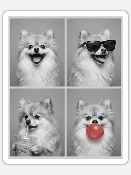 Hunde Zwergspitz Hund - Sticker Größe S (10 x 10 cm) - Mattweiß