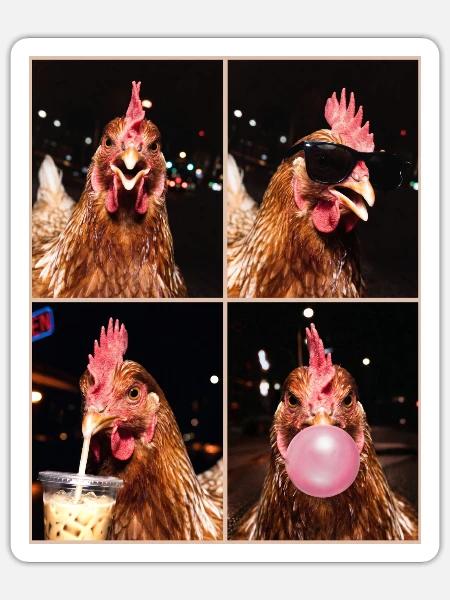 Hühner Huhn - Sticker Größe S (10 x 10 cm) - Mattweiß