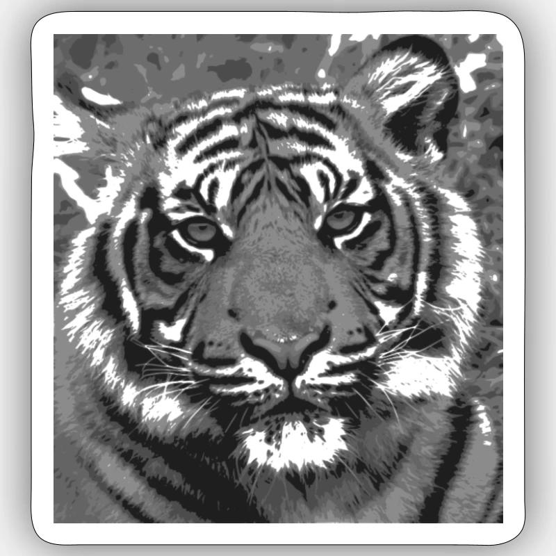 tiger - Sticker size S (10 x 10 cm) - white matte