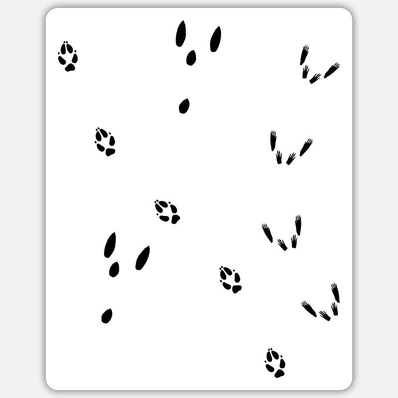 Fährte Fuchs, Hase, Eichhörnchen - Sticker Größe S (10 x 10 cm) - Mattweiß