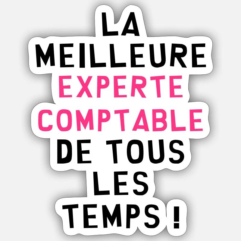 Expert Comptable / Comptabilité / Comptable / - Sticker taille S (10 x 10 cm) - blanc mat