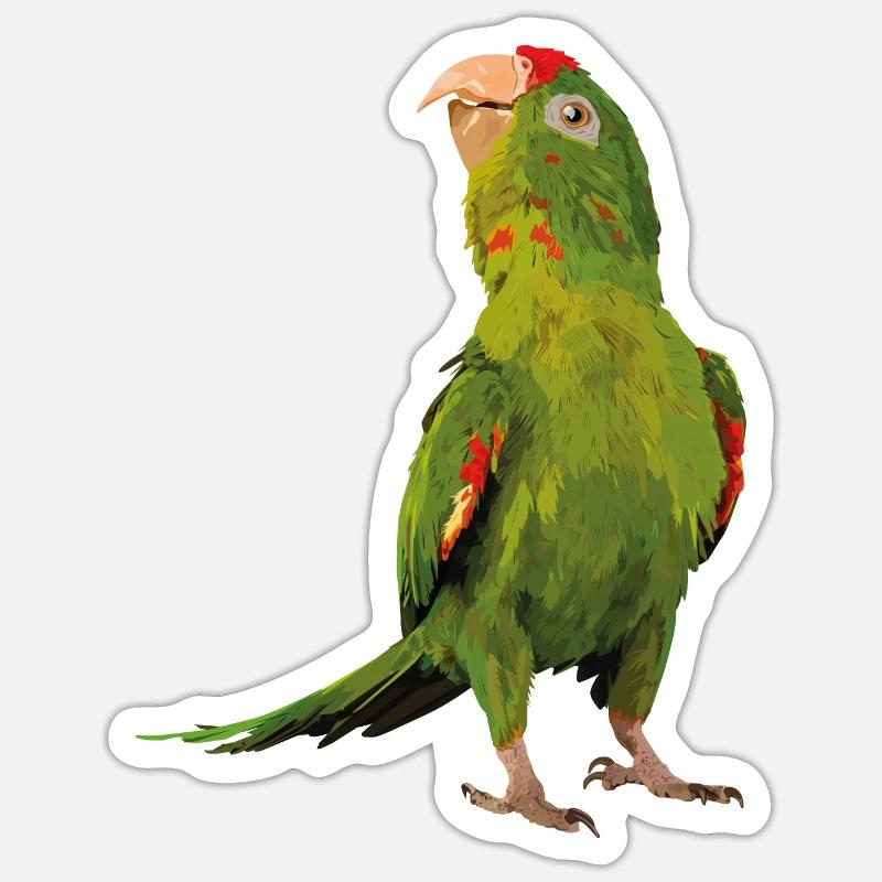 red-fronted parakeet - Sticker size S (10 x 10 cm) - white matte