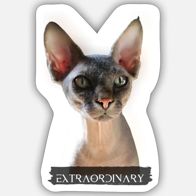 extraordinary Sphinx Katze Sticker Größe S (10 x 10 cm)