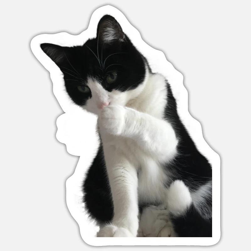 Chat noir et blanc - Sticker taille S (10 x 10 cm) - blanc mat