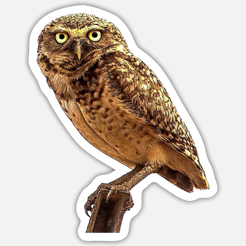 Die Eule die Eule Sticker Größe S (10 x 10 cm)