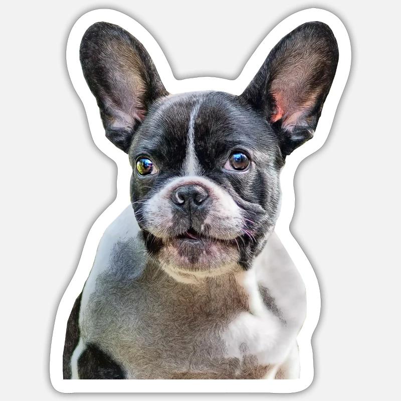 Chiot Bouledogue Français - Sticker taille S (10 x 10 cm) - blanc mat