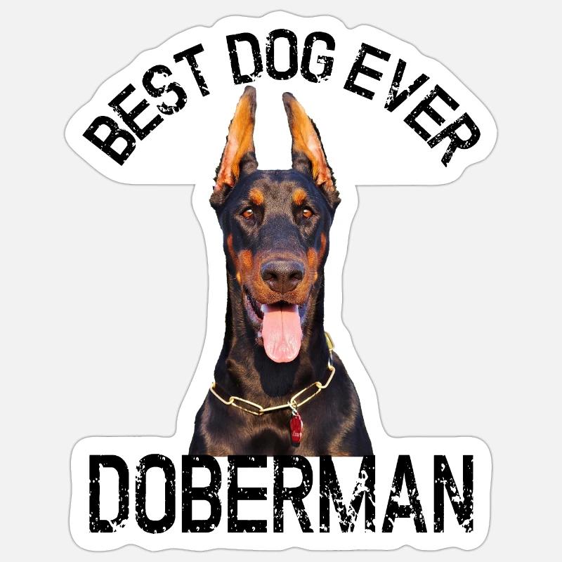 DOBERMANN Sticker Größe S (10 x 10 cm)