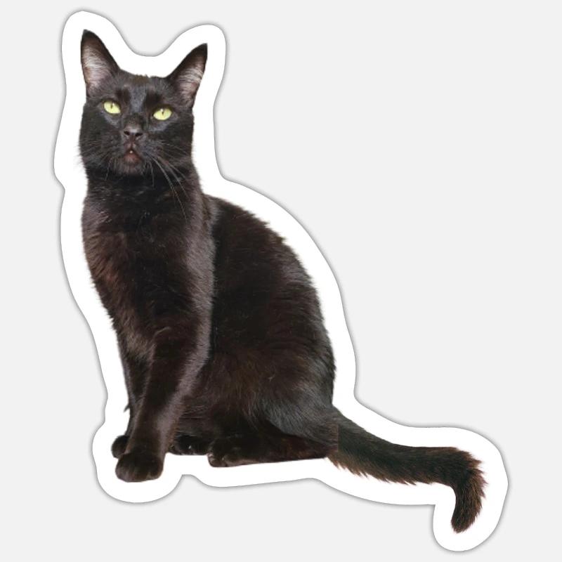 Nelson - Sticker size S (10 x 10 cm) - white matte
