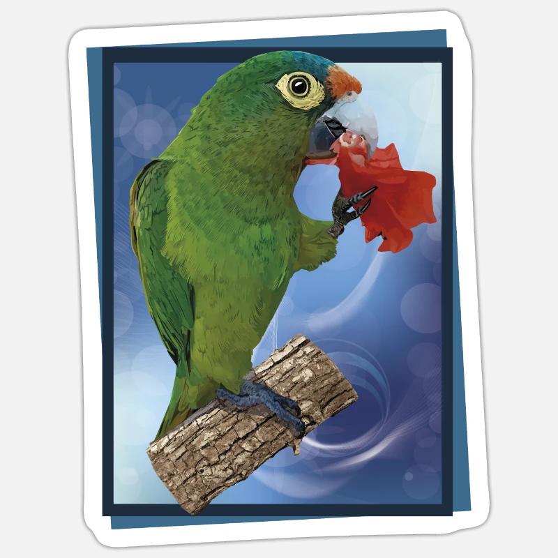 Orange-fronted parakeet Sticker size S (10 x 10 cm)