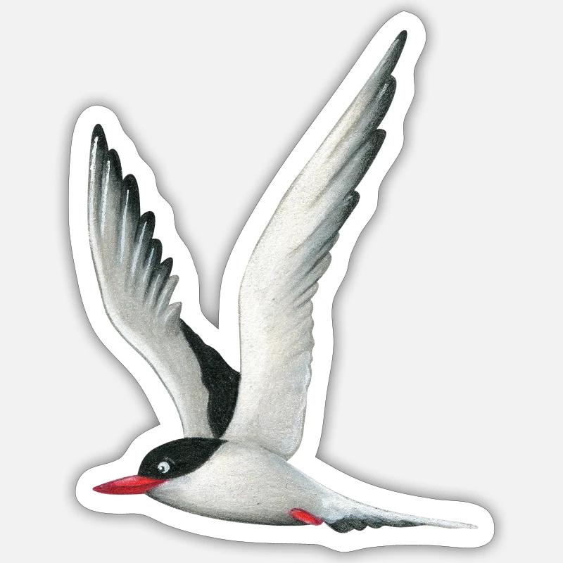Arctic tern - Sticker size S (10 x 10 cm) - white matte