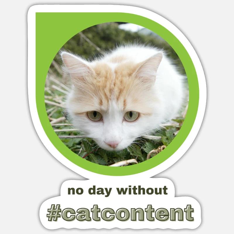 catcontent - Sticker Größe S (10 x 10 cm) - Mattweiß
