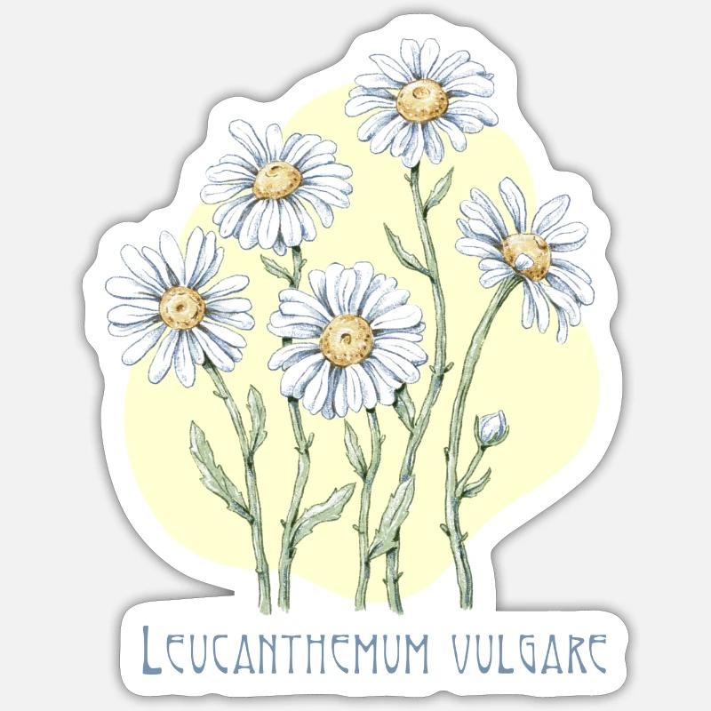 Jastrun proper botanical drawing Sticker size S (10 x 10 cm)