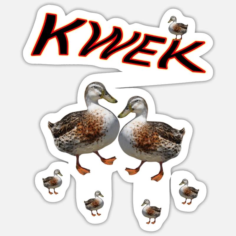 Canard Canard - Sticker taille S (10 x 10 cm) - blanc mat
