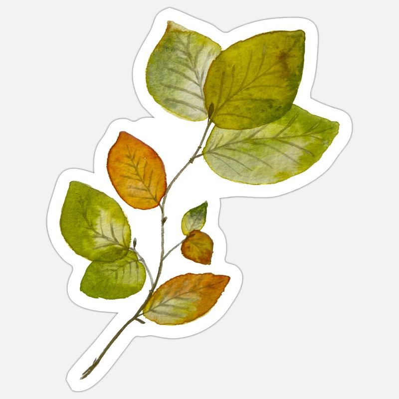Beech leaves - Sticker size S (10 x 10 cm) - white matte