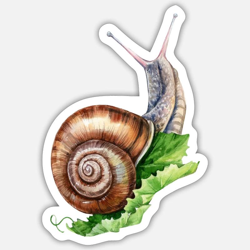 Escargot comestible - Sticker taille S (10 x 10 cm) - blanc mat
