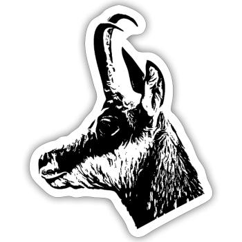 Gamsportrait - Sticker Größe S (10 x 10 cm) - Mattweiß - Vorne
