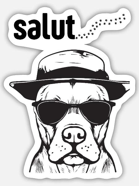 Cooler Hund mit Sonnenbrille – Stilvolles Hunde-T-Shirt mit - Sticker Größe S (10 x 10 cm) - Mattweiß