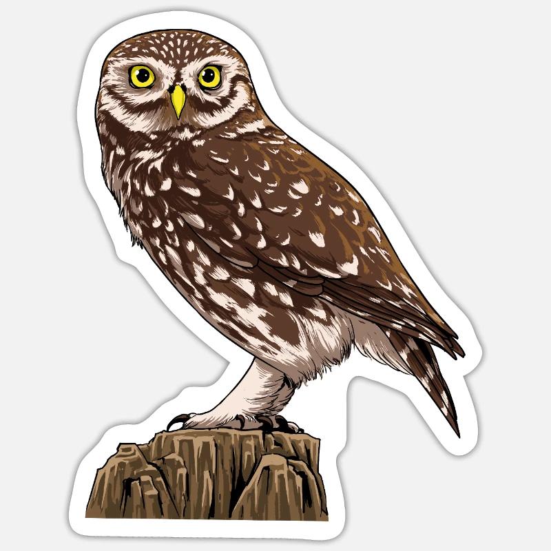Petite chouette - Sticker taille S (10 x 10 cm) - blanc mat