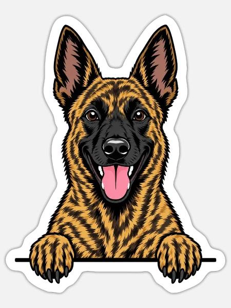 Holländischer Schäferhund - Sticker Größe S (10 x 10 cm) - Mattweiß