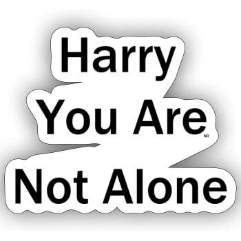 Harry You Are Not Alone - Sticker Größe S (10 x 10 cm) - Mattweiß - Vorne