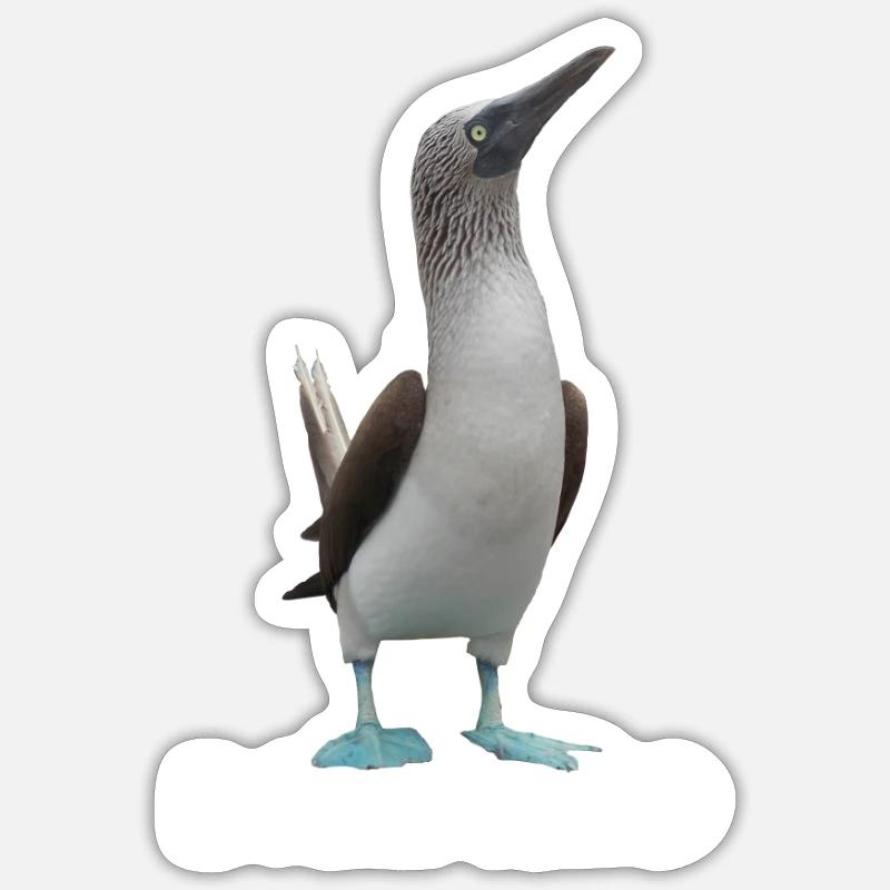 Blue-footed booby Sticker size S (10 x 10 cm)
