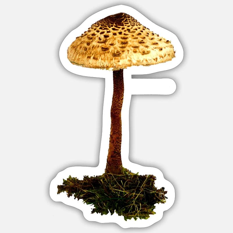Coulemelle - Sticker taille S (10 x 10 cm) - blanc mat