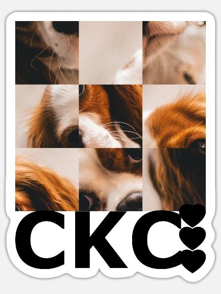 - Sticker size S (10 x 10 cm) - white matte