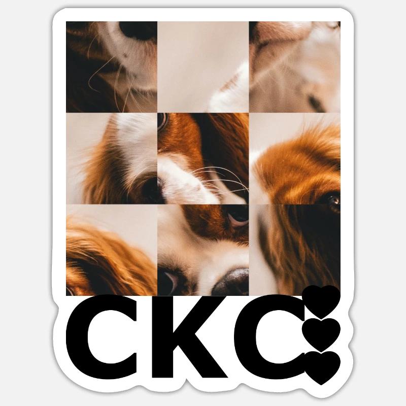 Cavalier Roi Charles Sticker taille S (10 x 10 cm)