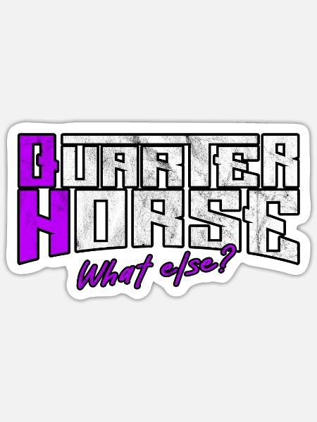 Quarter Horse Westernreiten Pferdemädchen Geschenk - Sticker Größe S (10 x 10 cm) - Mattweiß