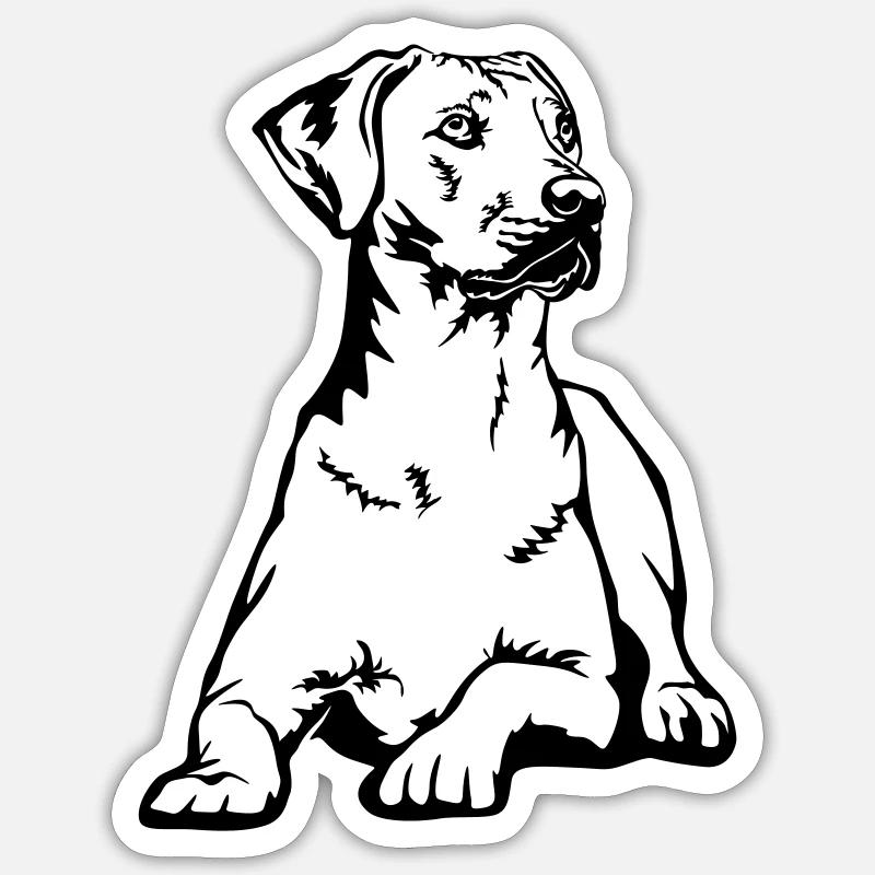 Rhodesian Ridgeback - Sticker size S (10 x 10 cm) - white matte