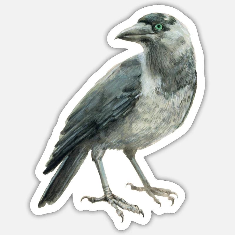 Dohle - Sticker taille S (10 x 10 cm) - blanc mat