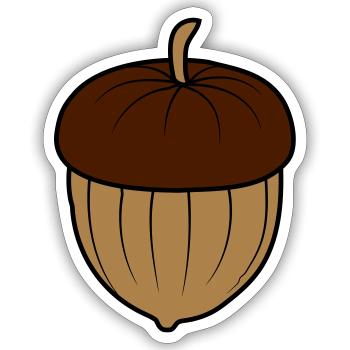 Acorn Nut Design - Sticker size S (10 x 10 cm) - white matte - Front