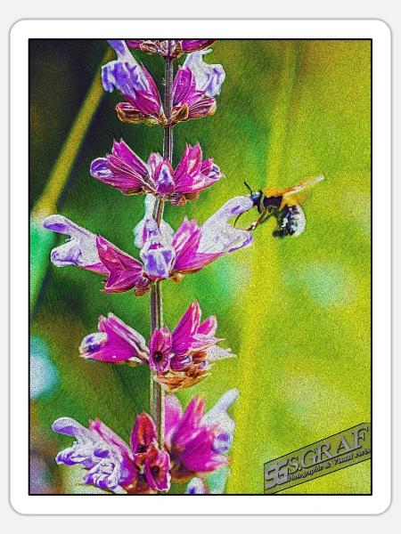 Hummel saugt Nektar - Sticker Größe S (10 x 10 cm) - Mattweiß