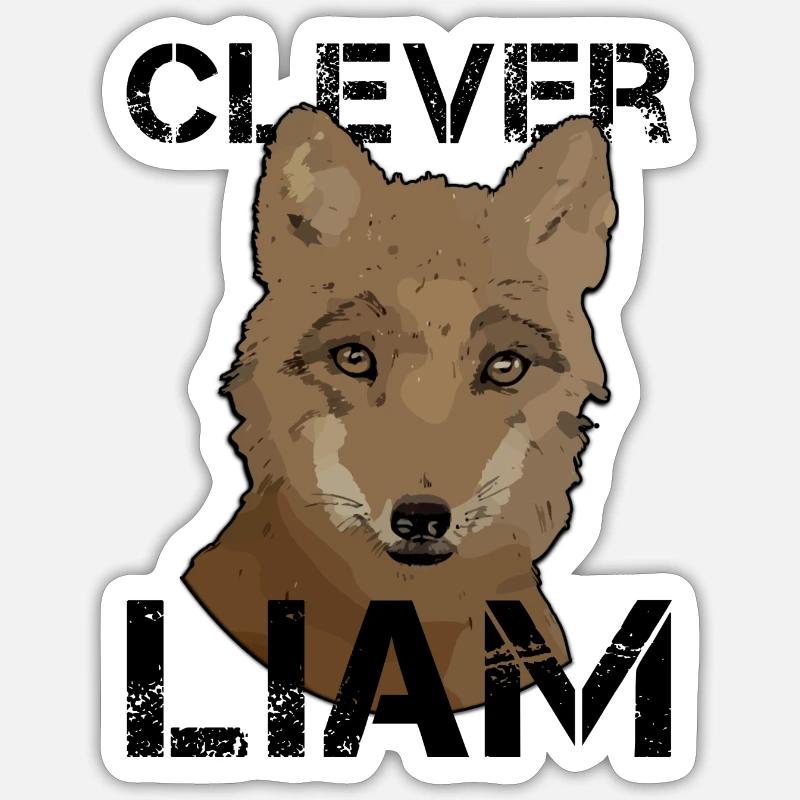 Liam Geburtstag Liam Sticker Größe S (10 x 10 cm)