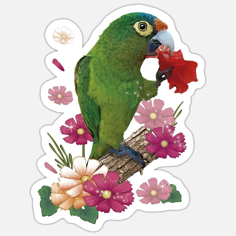 The orange-fronted parakeet Sticker size S (10 x 10 cm)
