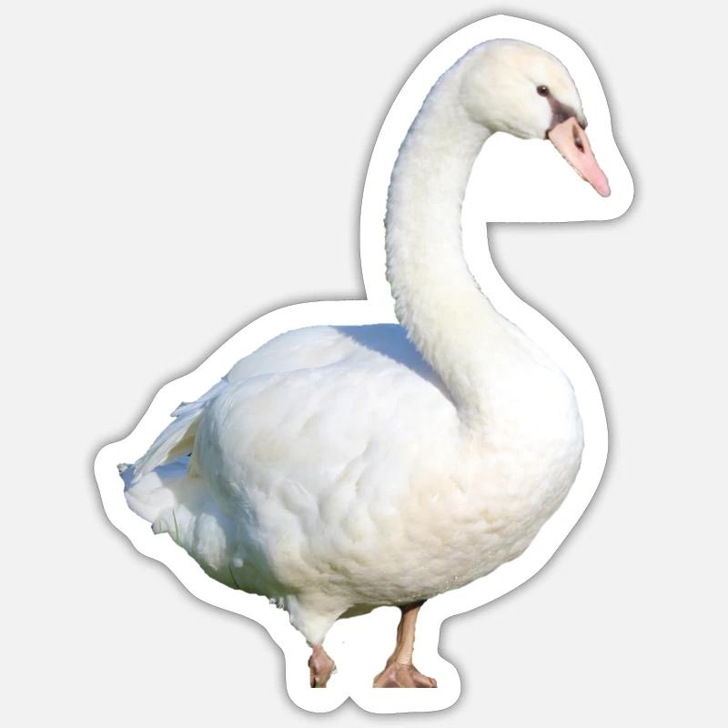 Schwan Ente Vogel Gans - Sticker Größe S (10 x 10 cm) - Mattweiß