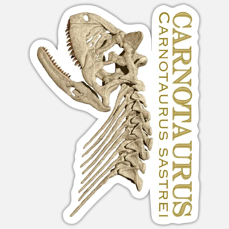 Carnotaurus Schädel bone - Sticker Größe S (10 x 10 cm) - Mattweiß