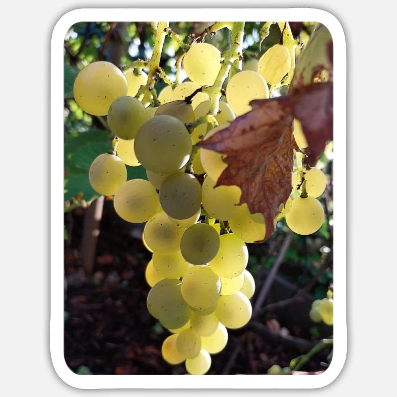 GRAPE Sticker size S (10 x 10 cm)
